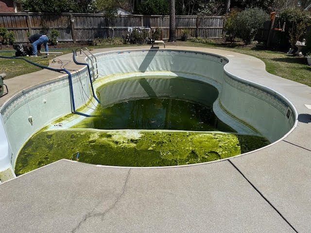 Before: worn or failed vinyl liner, Freeform pool &mdash; new liner going in on install day